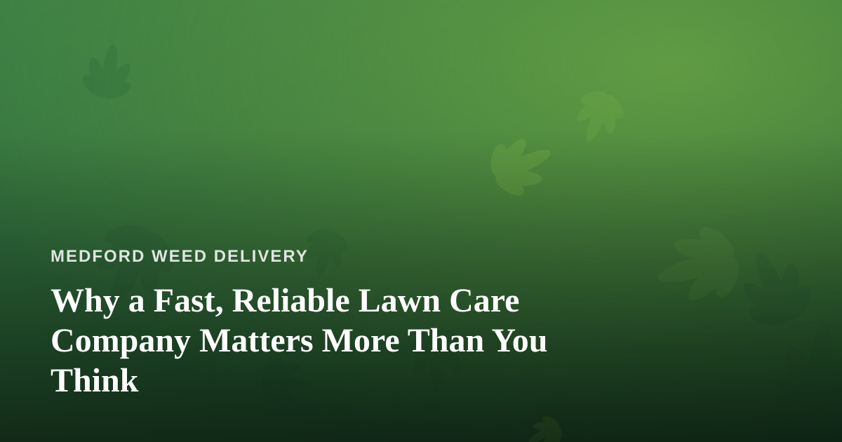 Why a Fast, Reliable Lawn Care Company Matters More Than You Think